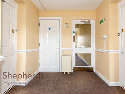 Picture 11